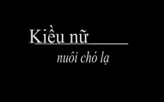 Nhiều kiều nữ nuôi chó lạ